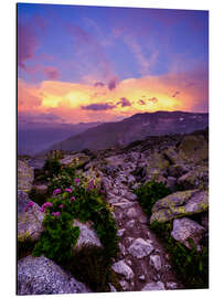 Cuadro de aluminio Colorful sunset at the Furka Pass