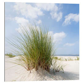 Gallery print Dune on the beach