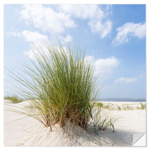 Selvklebende plakat Dune on the beach