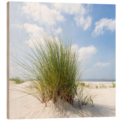 Holzbild Düne am Strand