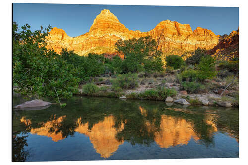 Aluminium print Watchman Mountain at sunset in Zion National Park