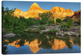 Canvas print Watchman Mountain at sunset in Zion National Park