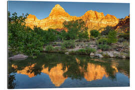 Gallery print Watchman Mountain at sunset in Zion National Park