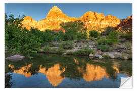 Sticker mural Watchman Mountain at sunset in Zion National Park