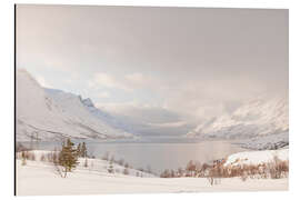 Aluminium print Nordic winter landscape