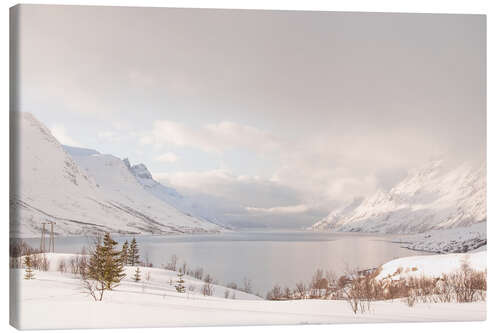 Canvas print Nordic winter landscape