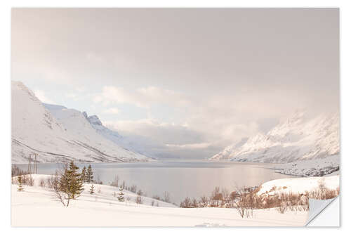 Naklejka na ścianę Nordic winter landscape