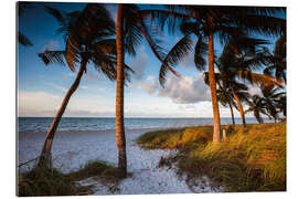 Gallery Print Am Strand, Key West, Florida
