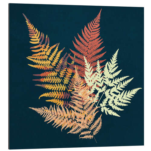 Aluminium print Autumn Fern