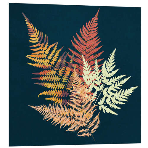 Foam board print Autumn Fern