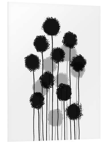 Foam board print Dandelions