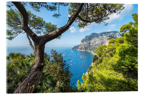 Quadro em acrílico Vacation on Capri