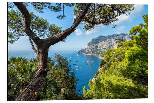 Cuadro de aluminio Vacation on Capri