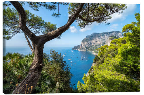 Canvas print Vacation on Capri