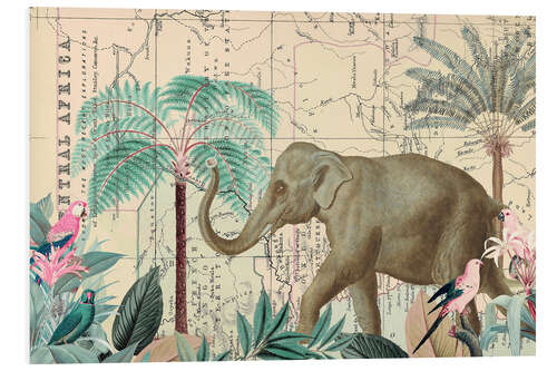 Stampa su PVC Elephant explores Africa