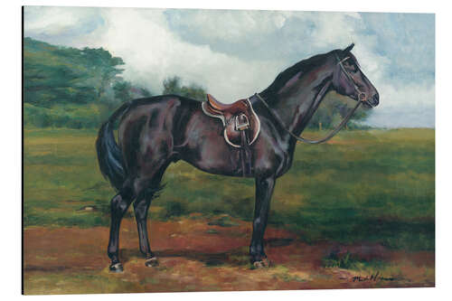 Quadro em alumínio Black Horse