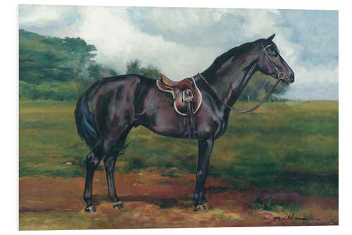 Tableau en PVC Black Horse