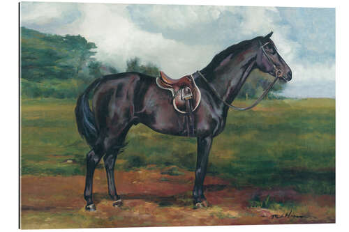 Quadro em plexi-alumínio Black Horse