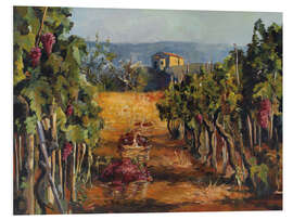 Foam board print Rhone Valley Vineyard