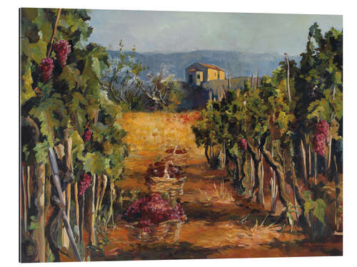 Gallery print Rhone Valley Vineyard