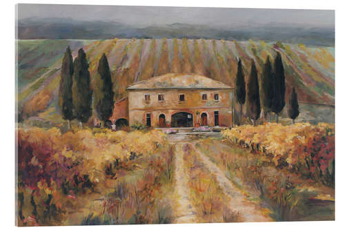 Cuadro de metacrilato Tuscany Vineyard