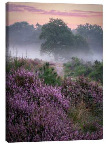 Obraz na płótnie Heather colors