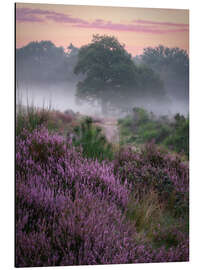 Magnettafel Heidefarben
