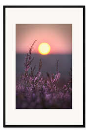 Gerahmter Kunstdruck Sonne und Heide