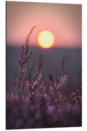 Magnettafel Sonne und Heide
