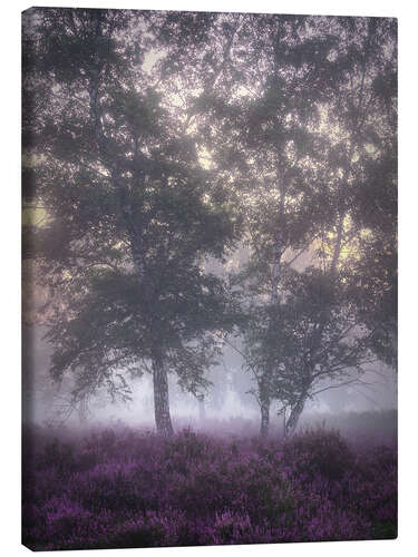 Leinwandbild Mystische Heide