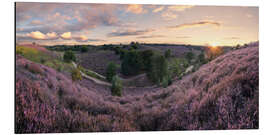 Cuadro de aluminio Panorama in pink