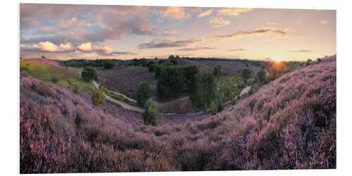 Bilde på skumplate Panorama in pink