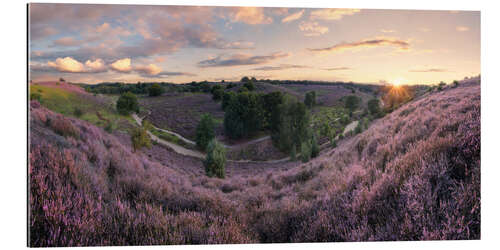 Gallery print Panorama in pink