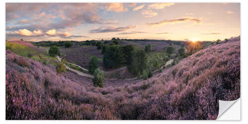 Sisustustarra Panorama in pink