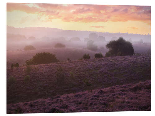 Akrylglastavla Heather