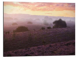 Aluminiumtavla Heather