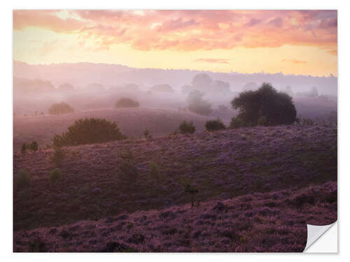 Sisustustarra Heather