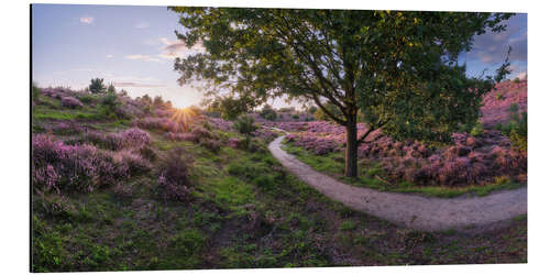 Aluminiumsbilde Path to light