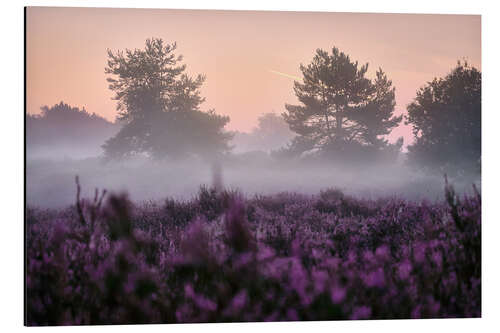 Tableau en aluminium Magical morning