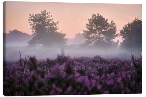 Canvas print Magical morning