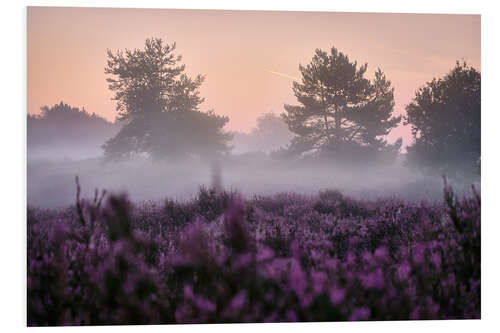 Foam board print Magical morning