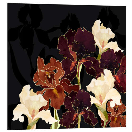 Gallery print Autumn Iris