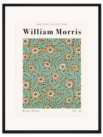 Gerahmter Kunstdruck Briar Rose No. 33