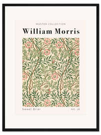 Gerahmter Kunstdruck Sweet Briar No. 18