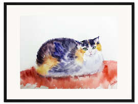 Gerahmter Kunstdruck Ragdoll Katze