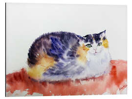 Magnettafel Ragdoll Katze