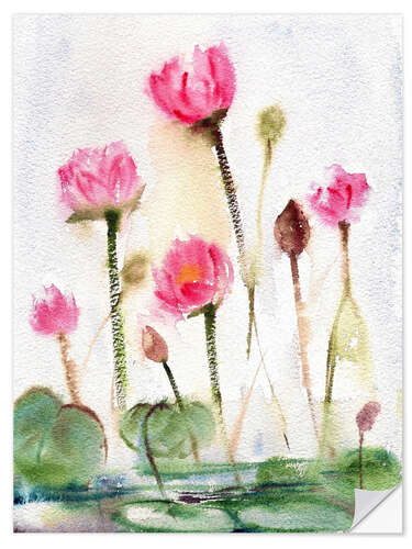 Självhäftande poster Lotus pond