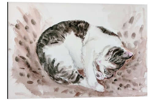 Tableau en aluminium Sleeping cat