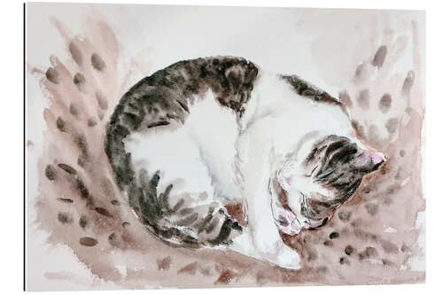 Gallery print Sleeping cat