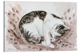 Magnettafel Schlafende Katze